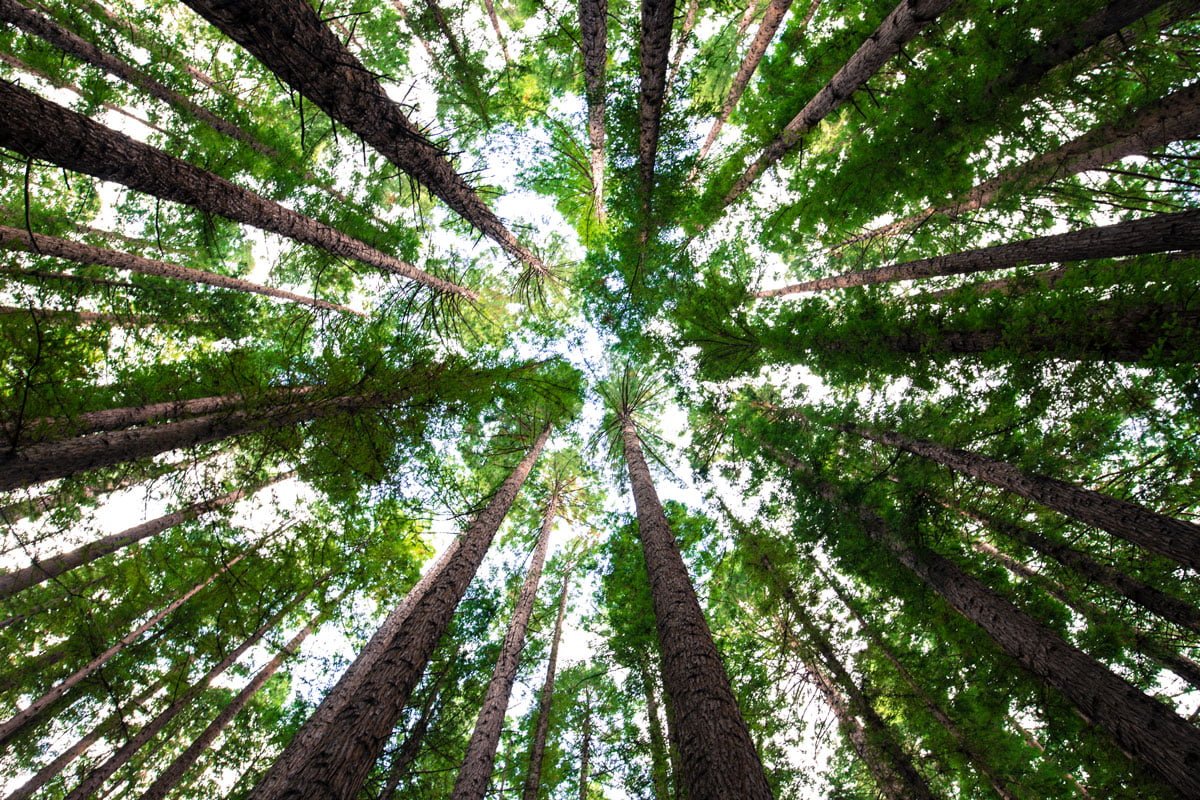 La Sierra de Picachos: han ampliado su área protegida