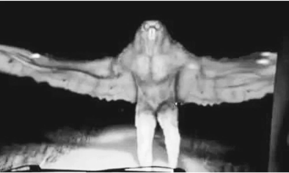 Hombre Pájaro en Monterrey Leyenda