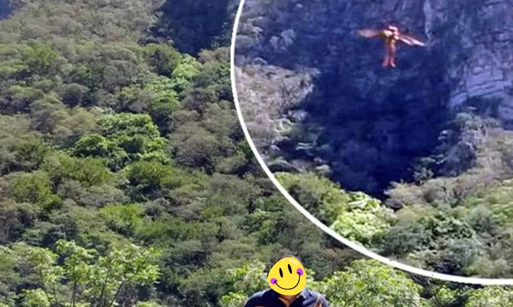 Hombre Pájaro en Monterrey Leyenda