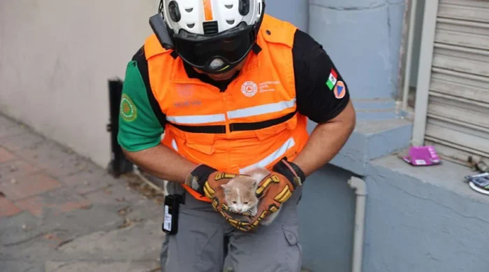 Un emotivo rescate en San Pedro revela la valentía de quienes ayudan a los animales en apuros. Conoce la conmovedora historia.