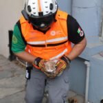 Un exitoso operativo de Protección Civil NL logra rescatar gatos atrapados en tuberías, utilizando tecnología especializada.
