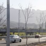 Ciudadanos reportan la muerte de árboles en Monterrey, cuestionando el uso de fondos destinados a la reforestación.
