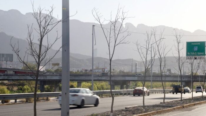 Ciudadanos reportan la muerte de árboles en Monterrey, cuestionando el uso de fondos destinados a la reforestación.