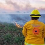 Casi tres centenares de incendios han afectado a Nuevo León, concentrándose principalmente en zonas de terreno baldío.