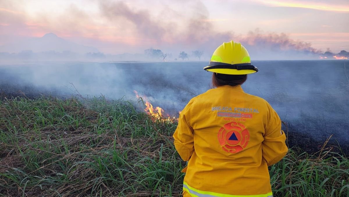 Casi tres centenares de incendios han afectado a Nuevo León, concentrándose principalmente en zonas de terreno baldío.