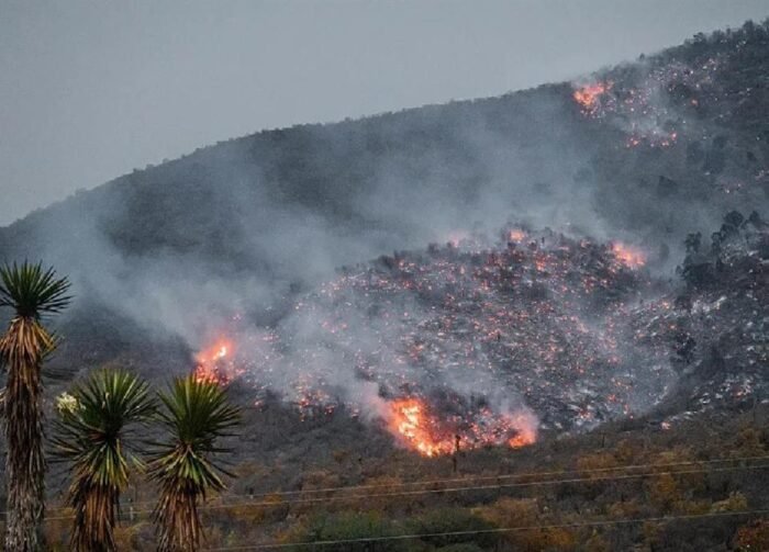 El diputado Javier Caballero Gaona pide al Ejecutivo que implemente comités para frenar incendios forestales en el país.