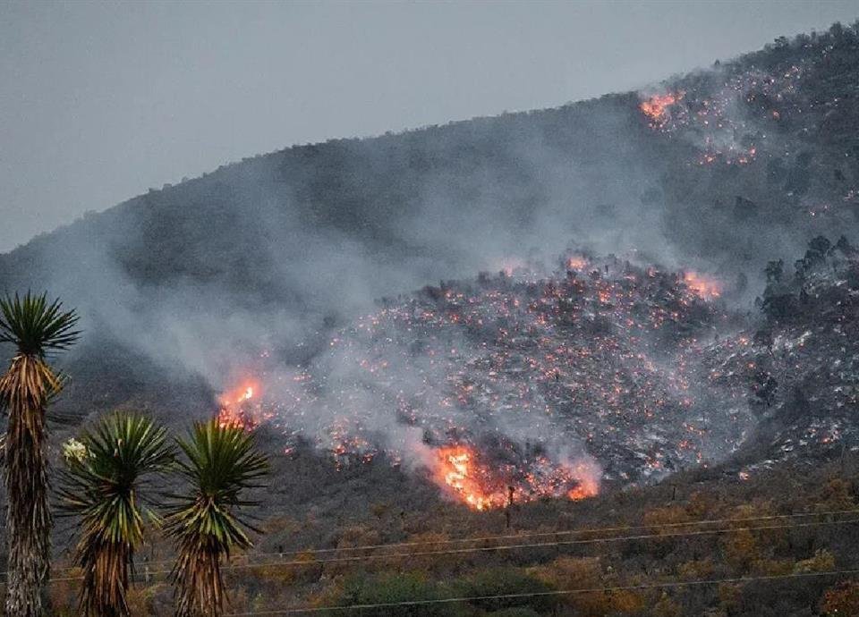 El diputado Javier Caballero Gaona pide al Ejecutivo que implemente comités para frenar incendios forestales en el país.