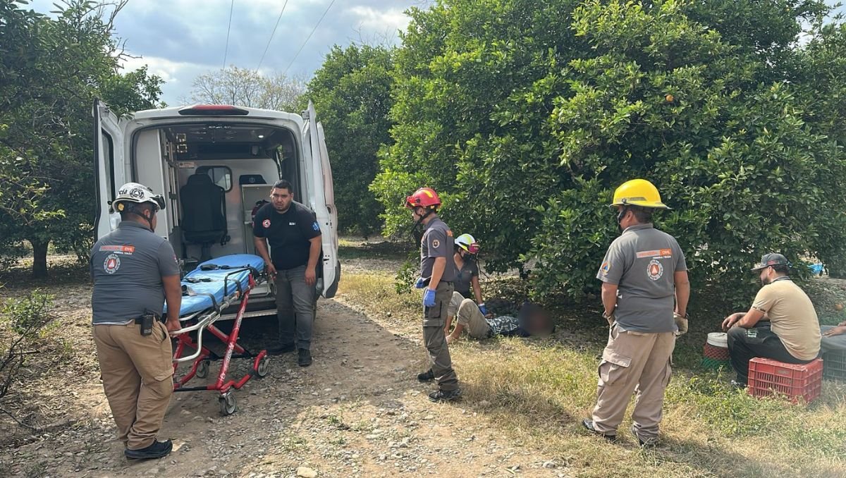 Un joven de 19 años sufrió una fuerte descarga eléctrica durante la cosecha de naranjas en General Terán, NL.