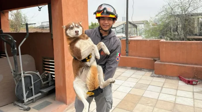 Descubre cómo un perro fue rescatado tras más de 14 horas atrapado en Monterrey, un acto conmovedor que tocó corazones.