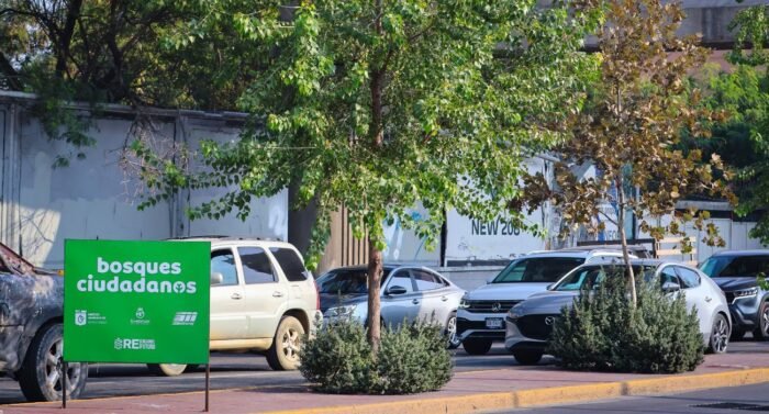 La organización Reforestación Extrema confirma auditoría para el programa Bosques Ciudadanos con resultados esperados en junio.