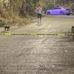 Un trágico suceso ocurre en Montemorelos, NL, donde una mujer asesina a su pareja en presencia de sus hijos.