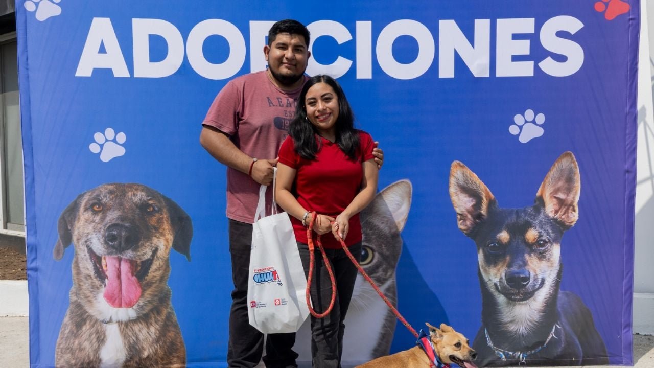 Más de 50 perritos encontraron un hogar en Monterrey gracias a la jornada de adopción organizada por Chihuatón.