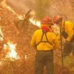 Las autoridades intensifican esfuerzos para prohibir fogatas, buscando prevenir incendios urbanos y forestales en la región.