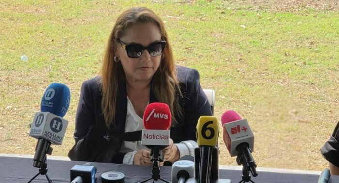 La defensa de Karina N argumenta que el delito que se le imputa no justifica su encarcelamiento durante el juicio.